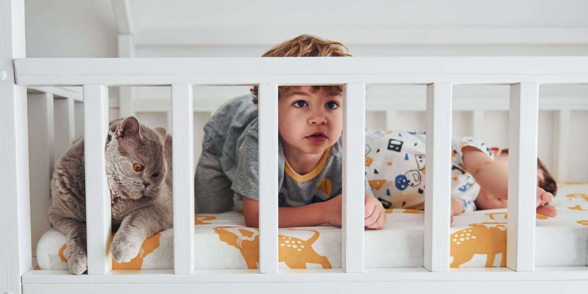 Cots for Tots: A Comprehensive Guide to Choosing the Perfect Baby Cot