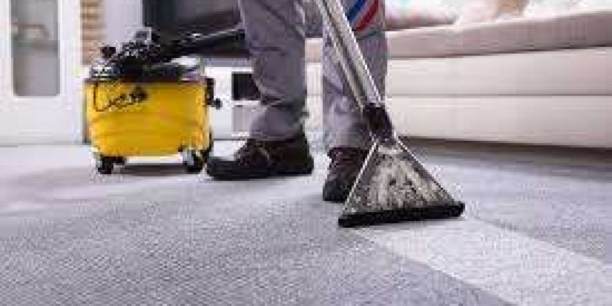 Why Property Managers Should Prioritize Carpet Cleaning Services